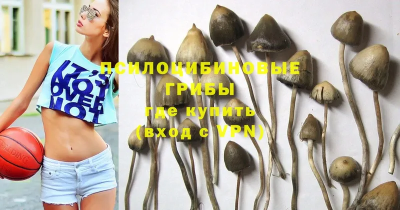 Псилоцибиновые грибы MAGIC MUSHROOMS  Алейск 